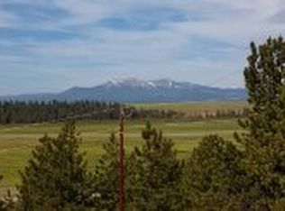 31 Redhill Rd, Fairplay, CO 80440