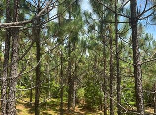 0 4th Ave N, Needham, AL 36915