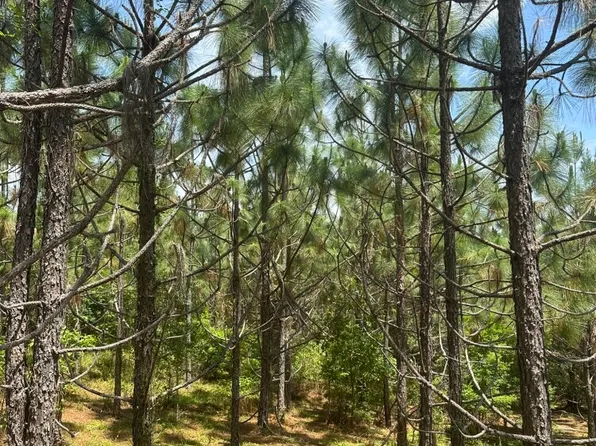 0 4th Ave N, Needham, AL 36915