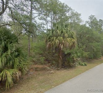 7951 W Tolle Ln, Dunnellon, FL, 34433