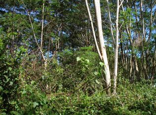 15th Ave LOT 393, Keaau, HI 96749