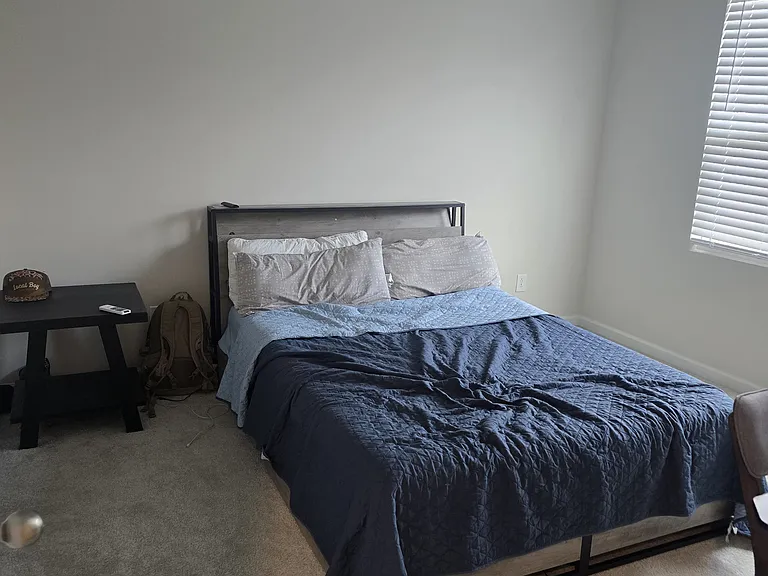 444 Lavatera Dr — Photo 11