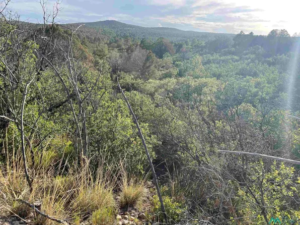 24 La Costa Dr, Timberon, NM 88350