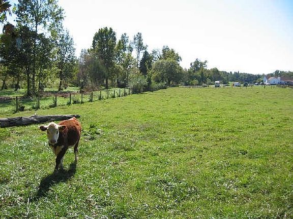 The fenced in pasture is currently being used for cattle.