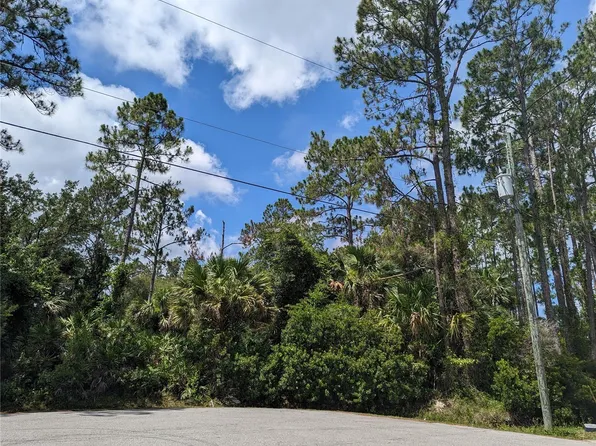 21 Smollett Pl, Palm Coast, FL 32164
