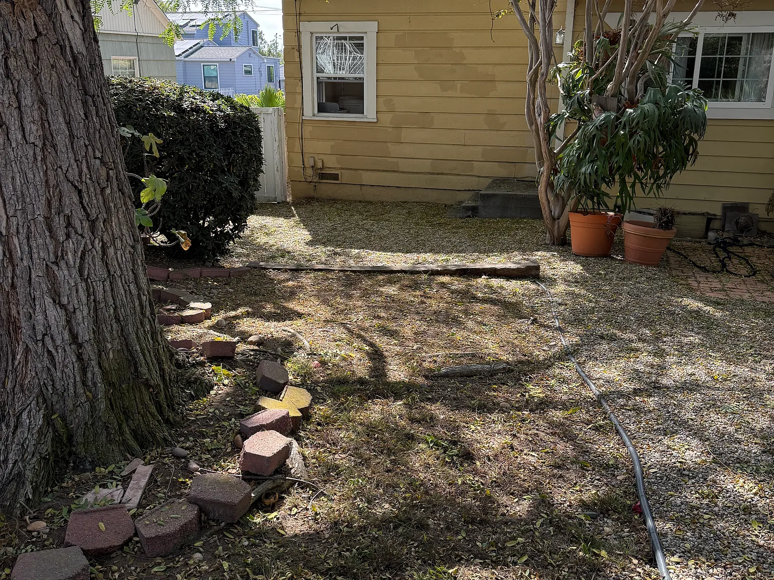 1 bed, 500 sqft, $1,900 — Photo 2