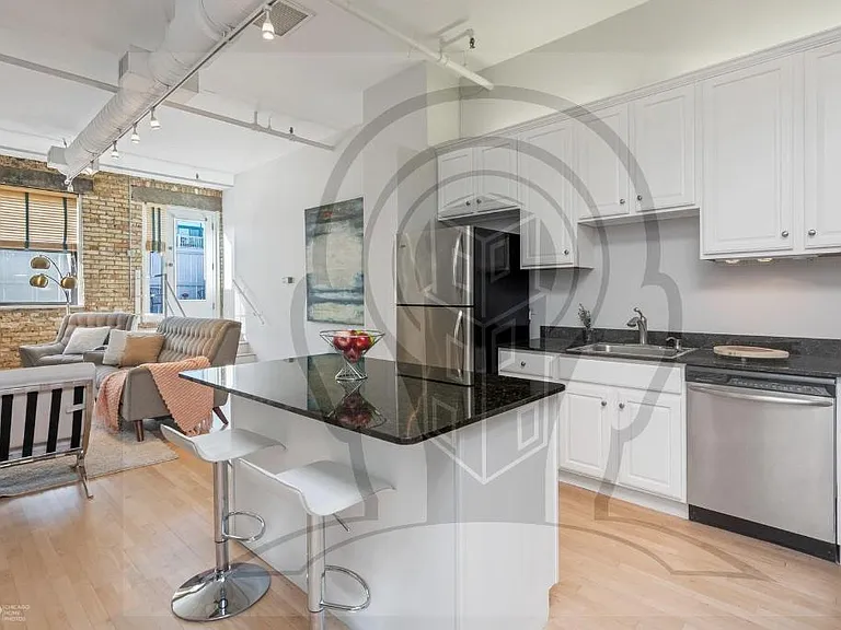1111 W Cornelia Ave #204 — Photo 9