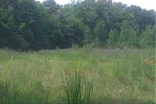 2nd image of 123 Virlilia Rd