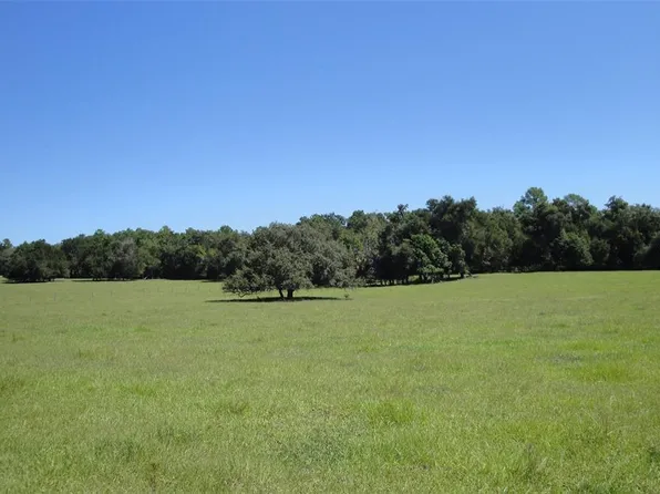 4401 Griffin View Dr, Lady Lake, FL 32159