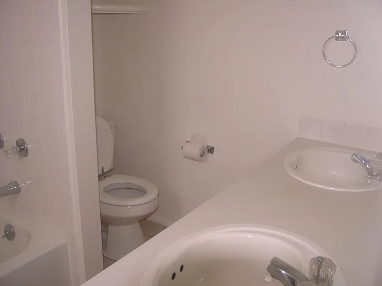 Main bath