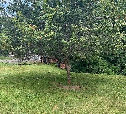 3rd image of 0 Lyndale Dr
