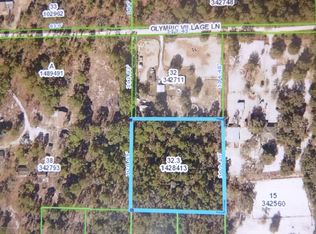 0 Olympic Village Ln, Brooksville, FL 34614
