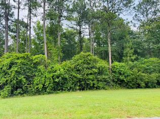 80 Spring Oak Dr, Carriere, MS 39426