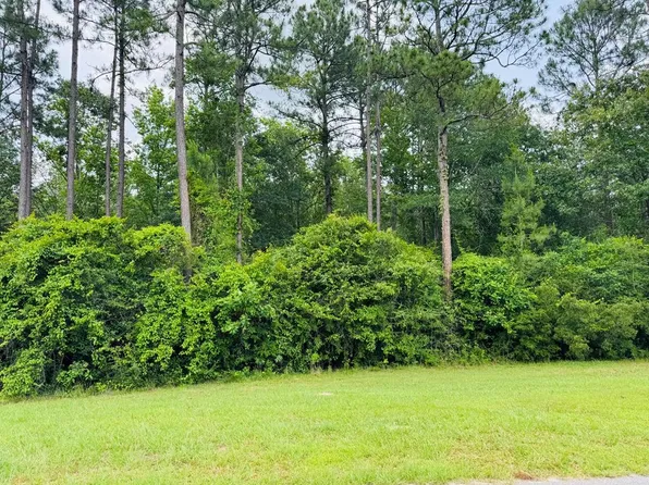 80 Spring Oak Dr, Carriere, MS 39426