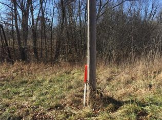 White Ln, Kinmundy, IL 62854