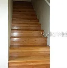2419 Fan Palm Dr — Photo 9