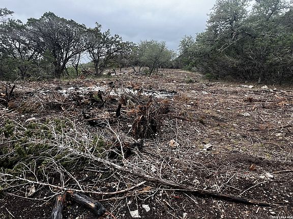 4th image of 166 Walden Rdg