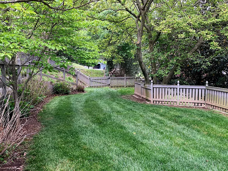 fully fenced yard