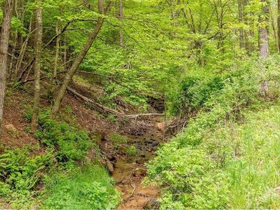 853 Cannady School Rd SE #3, Floyd, VA, 24091