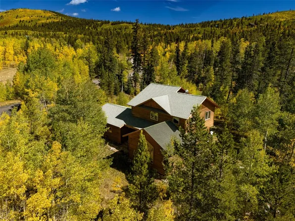 228 Glacier Ridge Rd, Alma, CO 80420