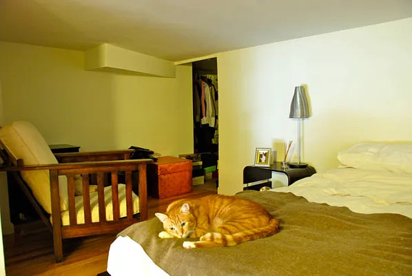 Rented by Town Residential | media 47