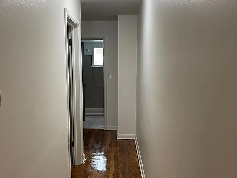 Hallway to Bedrooms and Bathroom