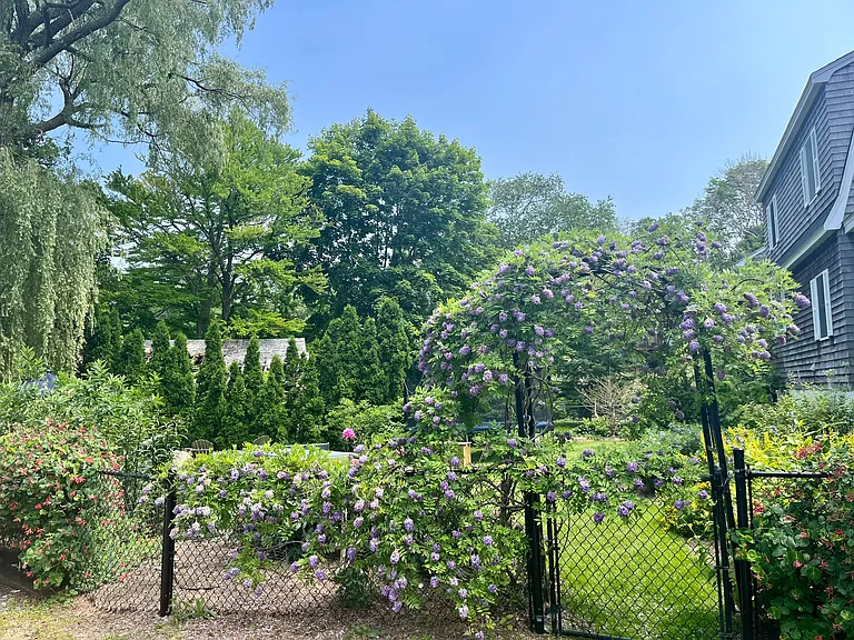 5 High Street Ct — Photo 4