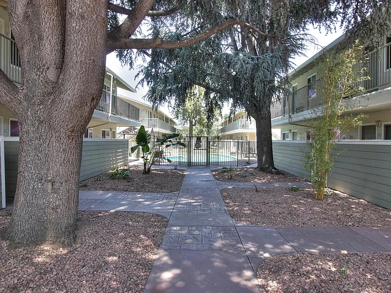 Mountain View Place — Photo 11