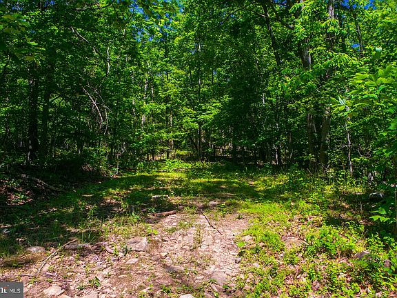 2nd image of LOT 37 Poplar Trl