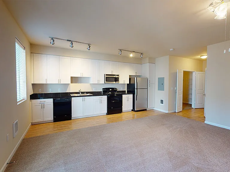 Apartment kitchen with wood-style flooring.
