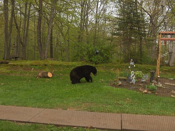 One of our many visitors