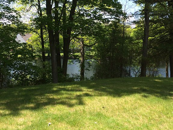 View of pond in summer