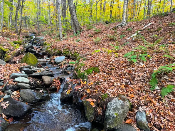 0 Cider Mountain Road, Warren, VT 05674