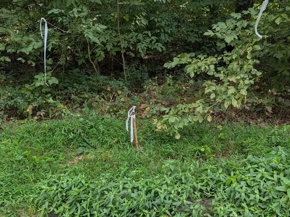 Approximately 3671 Floral Park Rd, Brandywine, MD 20613