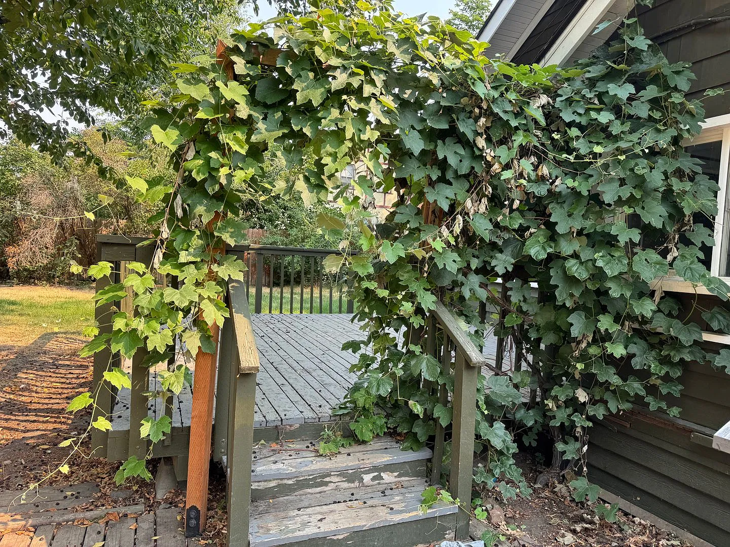 Charming Home in Historic District — Photo 2