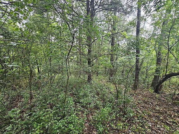 2nd image of High Rd #40