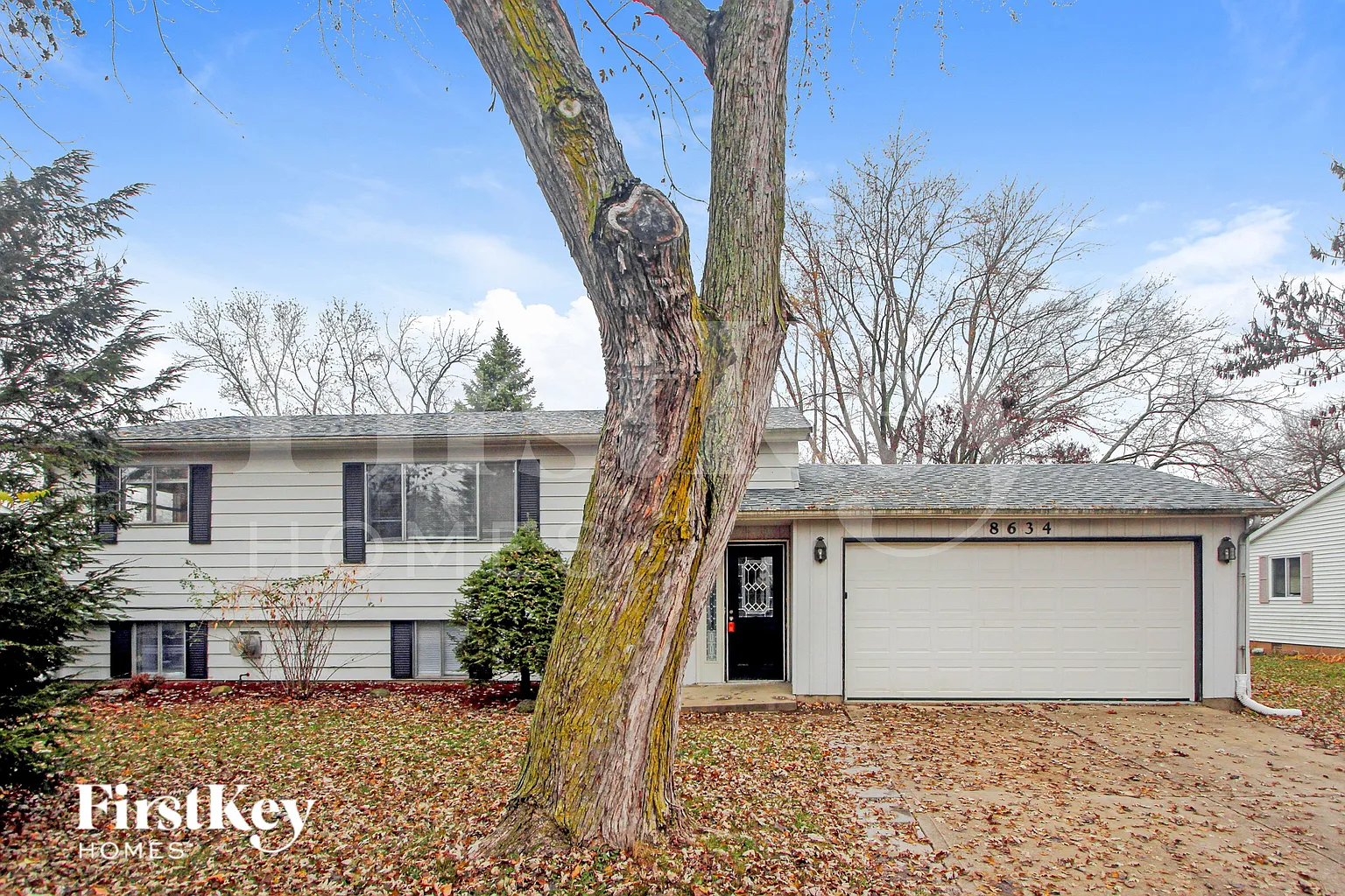 8634 Lighthorse Dr photo 1