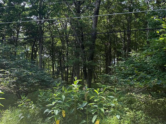 2nd image of LOT-139LA N Willow Dr