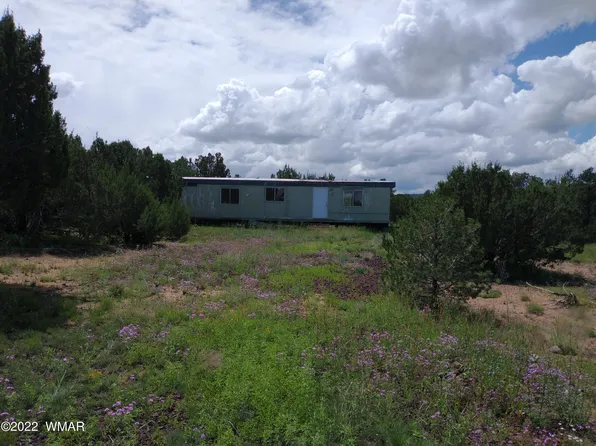 55 County Road 3035, Vernon, AZ 85940