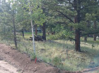 227 Anderson Rd, Bailey, CO 80421