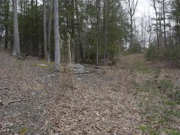 Lots 5 7 Lakewood Dr, Mount Nebo, WV 26679