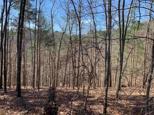 576 Galaxy Way NE #576, Ranger, GA 30734