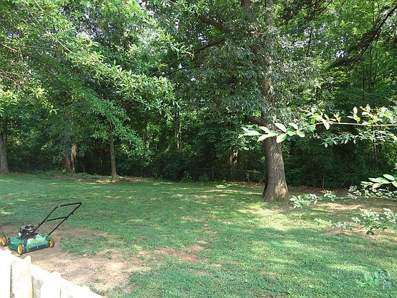 back yard