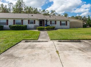 10314 Blue Field Ct, Thonotosassa, FL 33592