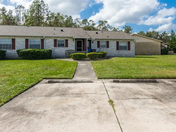 10314 Blue Field Ct, Thonotosassa, FL 33592