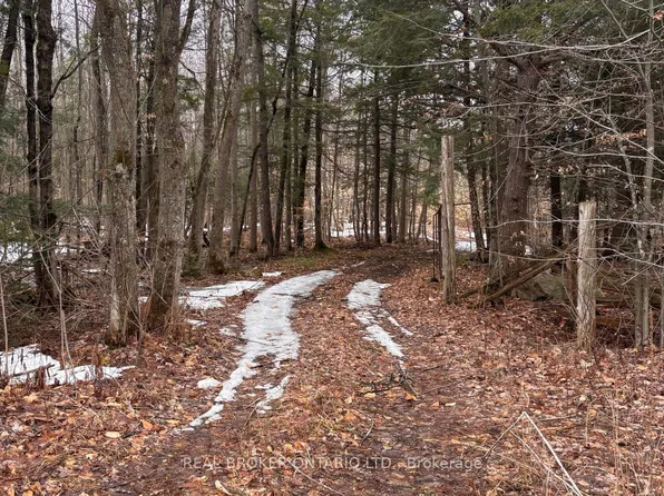 0 Dukelow Rd, Edwardsburgh/cardinal, ON K0E 1X0