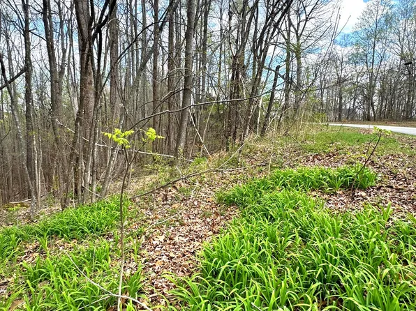 0 Coconut Ridge Rd Lot 1 & 2, Smithville, TN 37166