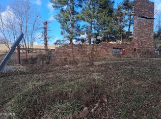 315 Delmer Salts Rd, Gray, TN 37615