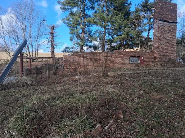 315 Delmer Salts Rd, Gray, TN 37615