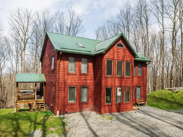 699 Ridge Rd, Davis, WV 26260